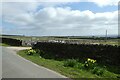 Daffodils and footpath from Wath Lane