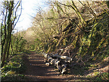 ST1282 : Trackbed of Barry Railway in Garth Wood by Gareth James