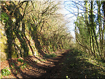 ST1282 : Trackbed of Barry Railway in Garth Wood by Gareth James