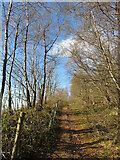 ST1282 : Footpath along northern edge of Taffs Well Quarry by Gareth James