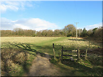 ST1182 : Footpath across fields near Ton-mawr by Gareth James