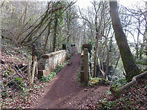 ST1281 : Footbridge over the trackbed of the Barry Railway in Garth Wood by Gareth James