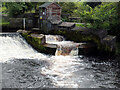 The fish ladder on the River Ribble by Langcliffe Locks