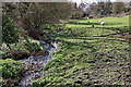 Penn Brook north of Gospel End in Staffordshire