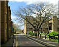 Coronation Street in early spring