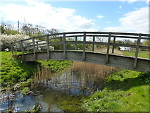 TR0062 : Footbridge over Oare Creek by pam fray