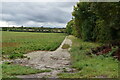 Field boundary, Fulbourn Old Drift