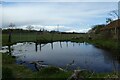 Pool near Apple Tree Farm