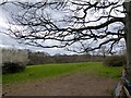 Barn Field