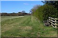 Boundary Hedge outside Crankley Grange