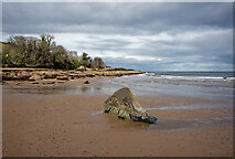 NH7358 : Rock in the sand, Rosemarkie by Julian Paren