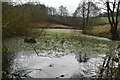 Pond by Sandstone Trail