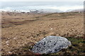 SN8018 : Poblen fawr ar rostir / Solitary rock on moorland by Alan Richards