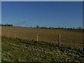 Tilled field near Addlethorpe Wood