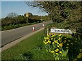 Entering Sicklinghall from the west