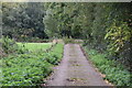 Access road, Cinderhill Wood