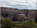 View from Conisbrough Castle