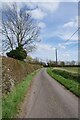 TL6340 : Hedge Across the County Line by Glyn Baker