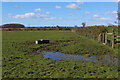 Soggy Field South of Manor Farm