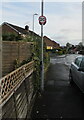ST3091 : 20 sign on lamppost NB312, Larch Grove, Malpas, Newport by Jaggery
