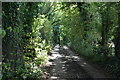 TQ6442 : Footpath to Cinderhill Wood by N Chadwick