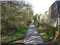 Path behind houses on Longhurst Road, Broadfield, Crawley