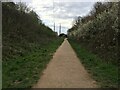 Footpath along former railway line