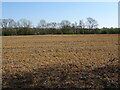 Farmland near Handgate Farm