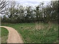 Path across Ash Green Meadows