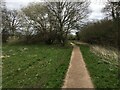 Path across Ash Green Meadows