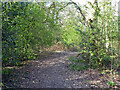 Path, Broadfield, Crawley