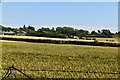 TQ5411 : Arable landscape, Blackbarn Farm by N Chadwick