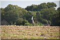 Great Cossington Farm Oast