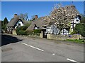 Thatched timber-framed cottages