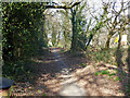 Path parallel with A23, Broadfield, Crawley