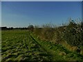 Start of the footpath from Sicklinghall to Spofforth