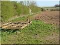 Cultivator and cultivated field