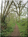 Path alongside Lambley Bottom Dumble