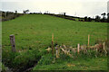 Green slopes, Moorfield