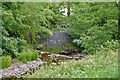 Weir, River Garnock, Kilbirnie, North Ayrshire