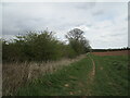 Bridleway to Lowdham