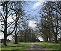 Lower drive at Tyntesfield