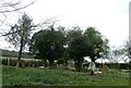 SU8011 : Stoughton Churchyard: April 2021 by Basher Eyre