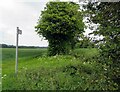 SK5479 : Footpath along the hedge from Dumb Hall Lane/'Scratta Lane by Andrew Tatlow