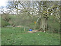 Bridleway near Castle Hill