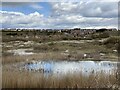 Rhoose Point housing estate