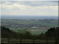 View from the edge of Byland Moor Plantation