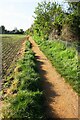 Footpath in Long Wittenham