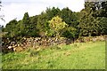 Eastern boundary wall of Cote Ghyll Cottage