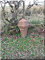 Milestone, Port of Menteith